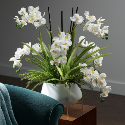 Planters - Buy two, get one free